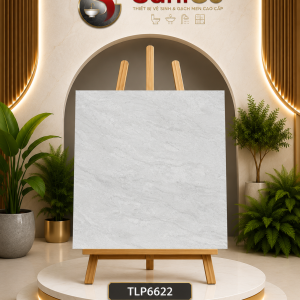 Gạch Xám Ngọc Trai (Pearl Grey) Matt 60×60cm TLP6622