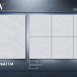 Gạch Lát Nền Đá 60X60 MATT SATIN – TLP6611M