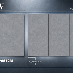 Gạch Lát Nền Đá 60X60 MATT SATIN – TLP6612M