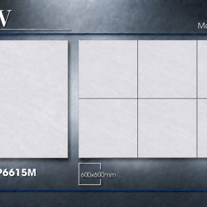 Gạch Lát Nền Đá 60X60 Matt Satin – TLP6615M