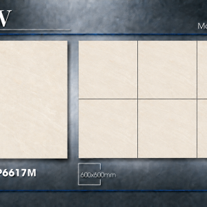 Gạch Lát Nền Đá 60X60 MATT SATIN – TLP6617M