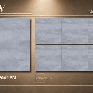 Gạch Lát Nền Đá 60X60 MATT SATIN – TLP6619M