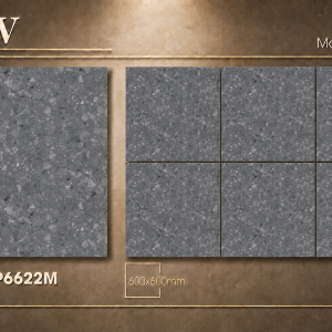Gạch Lát Nền Đá 60X60 MATT SATIN – TLP6622M